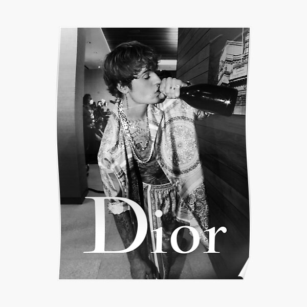 Model Justin Poster