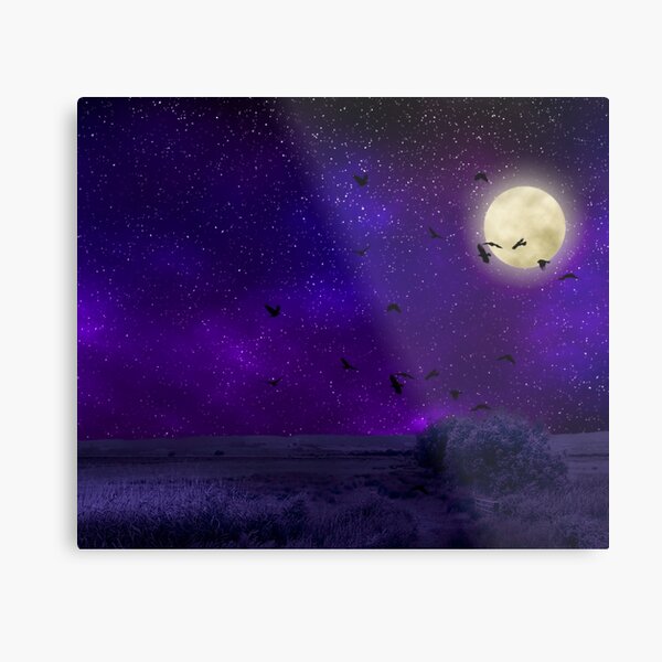 Purple Night Sky Metal Print
