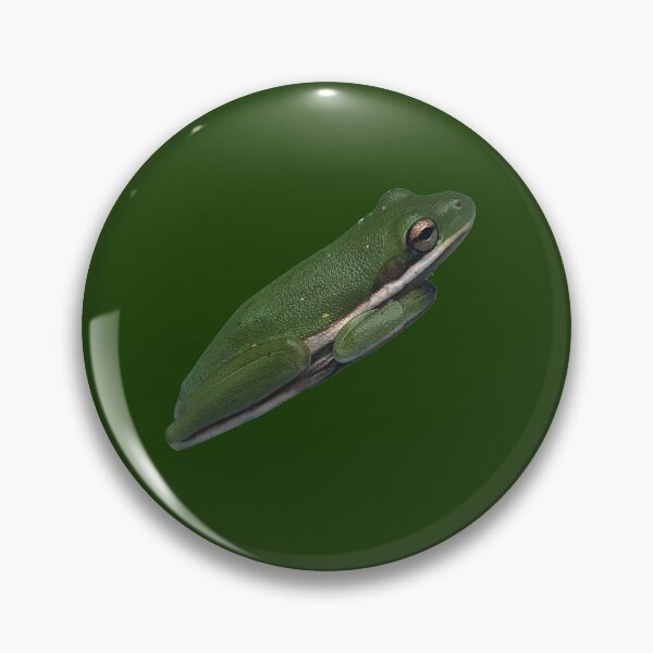 Item preview, Green treefrog photo designed and sold by laceyyyann34.