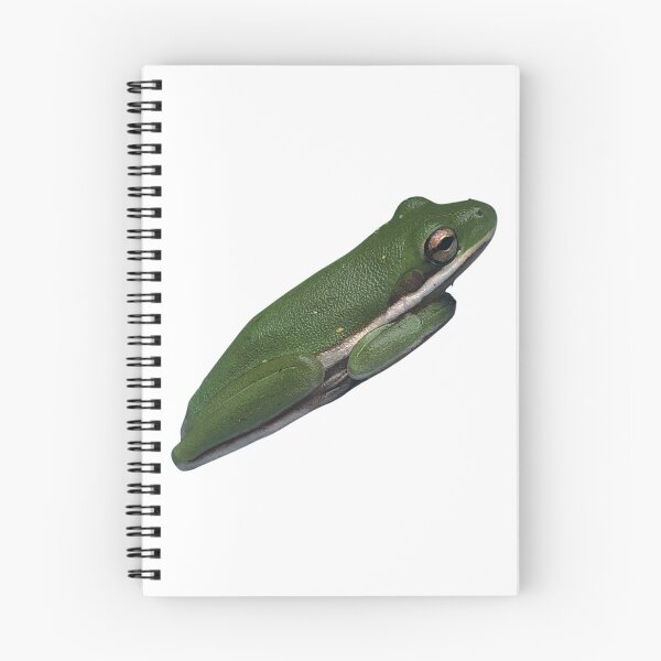 Item preview, Green treefrog photo designed and sold by laceyyyann34.