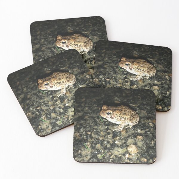Item preview, Fowler's toad photo designed and sold by laceyyyann34.