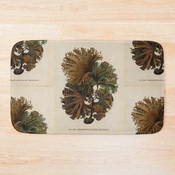 Item preview, Naturalist Seaweed designed and sold by BlueSpecsStudio.