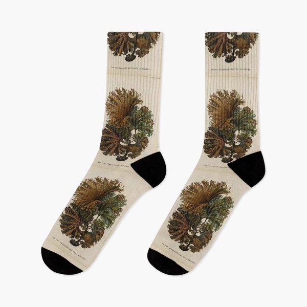 Item preview, Naturalist Seaweed designed and sold by BlueSpecsStudio.