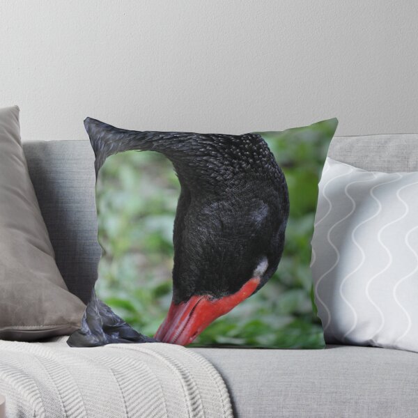 Artikelvorschau, Vorbereiten entworfen und verkauft von Rebecca Bryson.