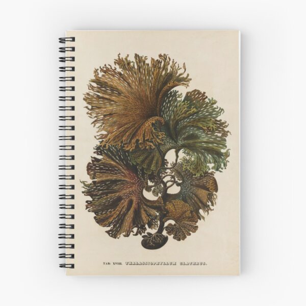 Item preview, Naturalist Seaweed designed and sold by BlueSpecsStudio.