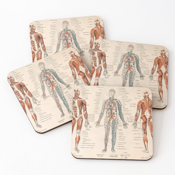 Item preview, Adolphe Millot Human Anatomy - Men designed and sold by nextstepdesigns.