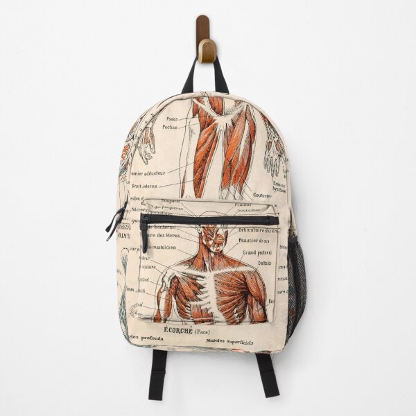 Item preview, Adolphe Millot Human Anatomy - Men designed and sold by nextstepdesigns.