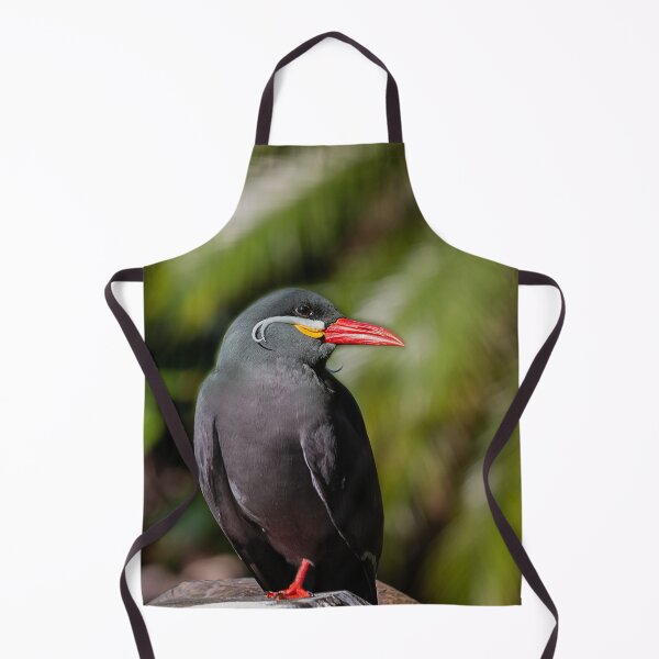 Item preview, South American Inca Tern designed and sold by KbytesOfJax Outdoor and Nature.