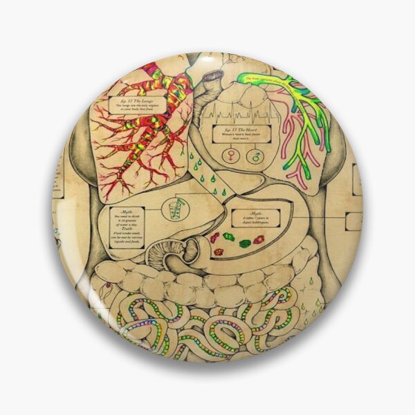 Item preview, Anatomy of the Body designed and sold by Teixeira224.