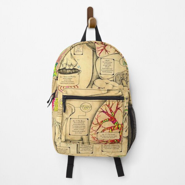 Item preview, Anatomy of the Body designed and sold by Teixeira224.