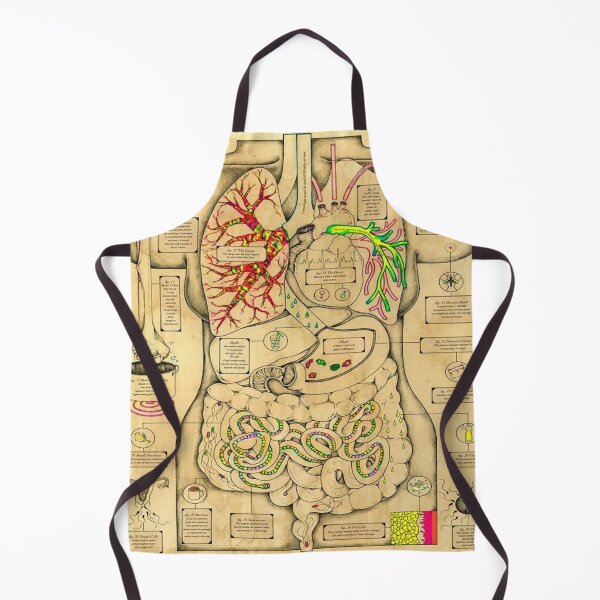 Item preview, Anatomy of the Body designed and sold by Teixeira224.