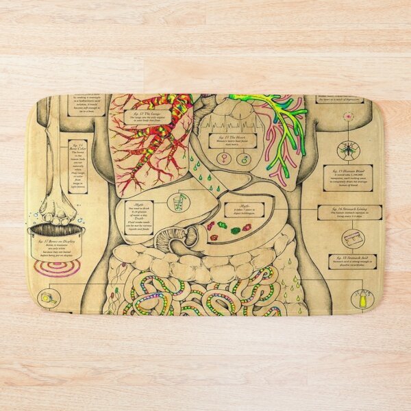 Item preview, Anatomy of the Body designed and sold by Teixeira224.