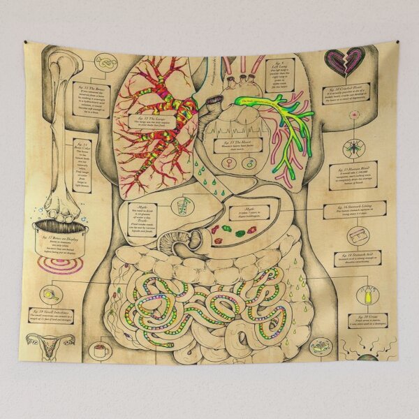 Item preview, Anatomy of the Body designed and sold by Teixeira224.