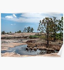 Arabia Mountain Poster