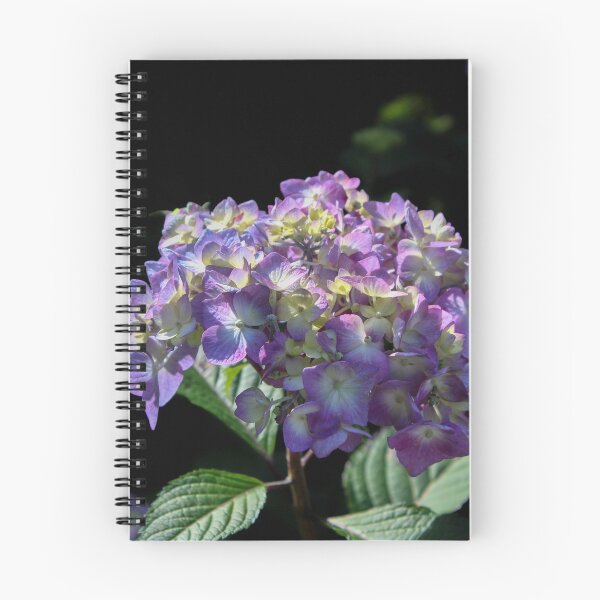 Item preview, Purple Hydrangea Flower designed and sold by DST-Photography.