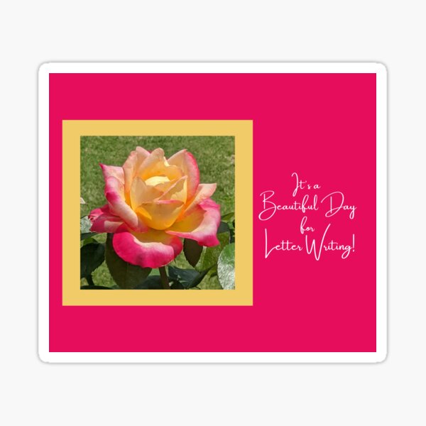 Hot Pink and Yellow Rose Floral Letter Writing Gift Sticker