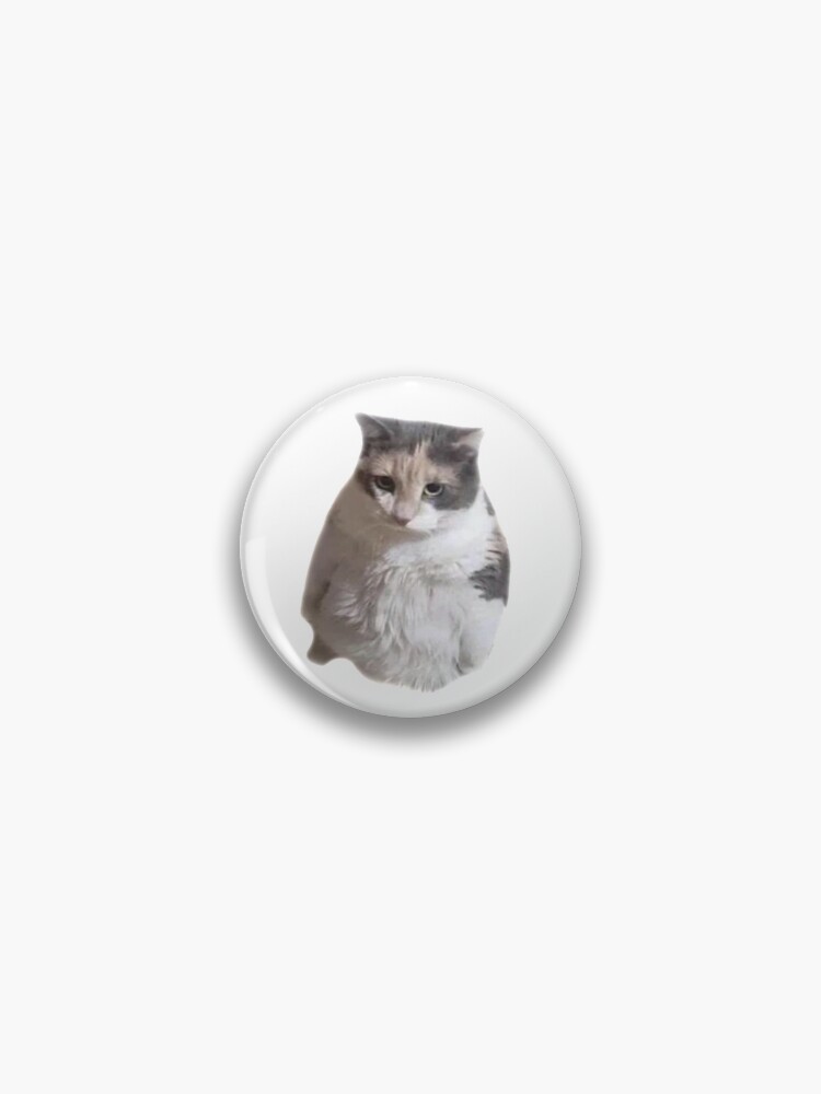 Pin on animal grumpy