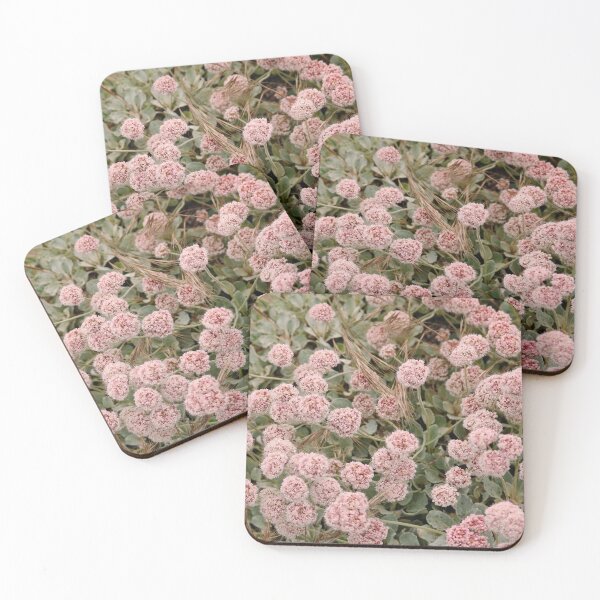 Item preview, Pretty Pink Summer Beach Buckwheat Flowers designed and sold by KsbAesthetics.