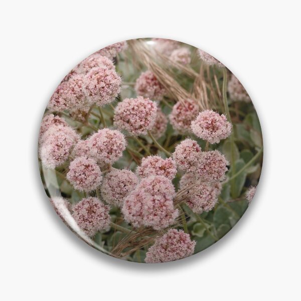 Item preview, Pretty Pink Summertime Buckwheat Flowers designed and sold by KsbAesthetics.