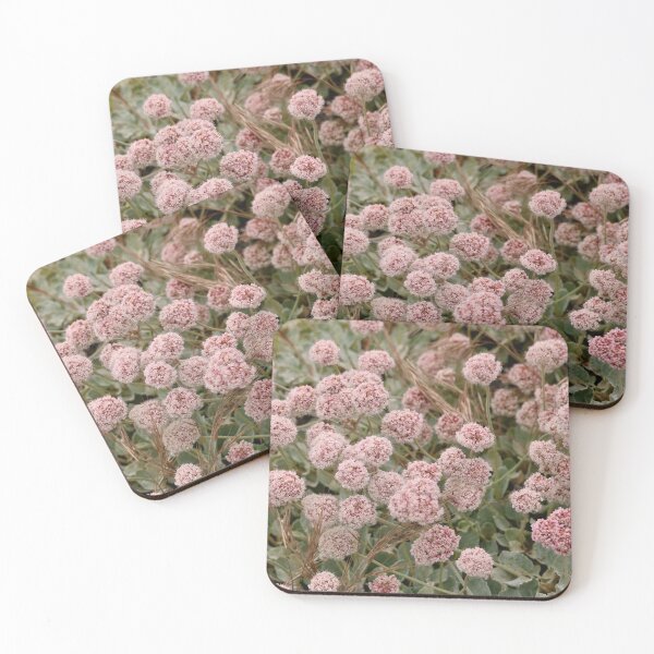Item preview, Pretty Pink Summertime Buckwheat Flowers designed and sold by KsbAesthetics.