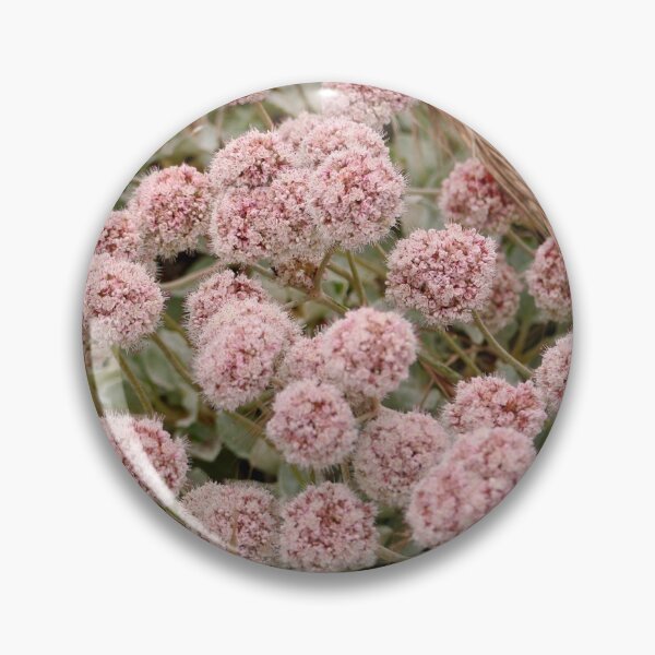 Item preview, Pretty Little Pink Summertime Buckwheat Flowers designed and sold by KsbAesthetics.