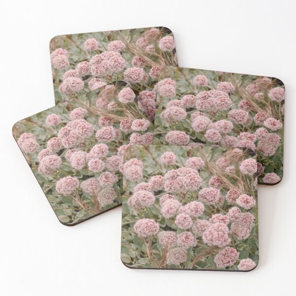 Item preview, Pretty Little Pink Summertime Buckwheat Flowers designed and sold by KsbAesthetics.