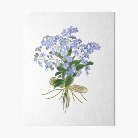 Myosotis Forget me not flower Art Board Print for Sale by LoraLoo