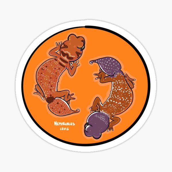 Smooth Knob-Tailed Gecko (Nephrurus levis) Sticker