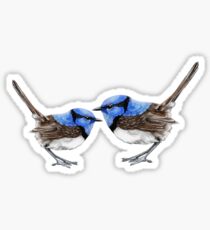 Little Wren on White Sticker