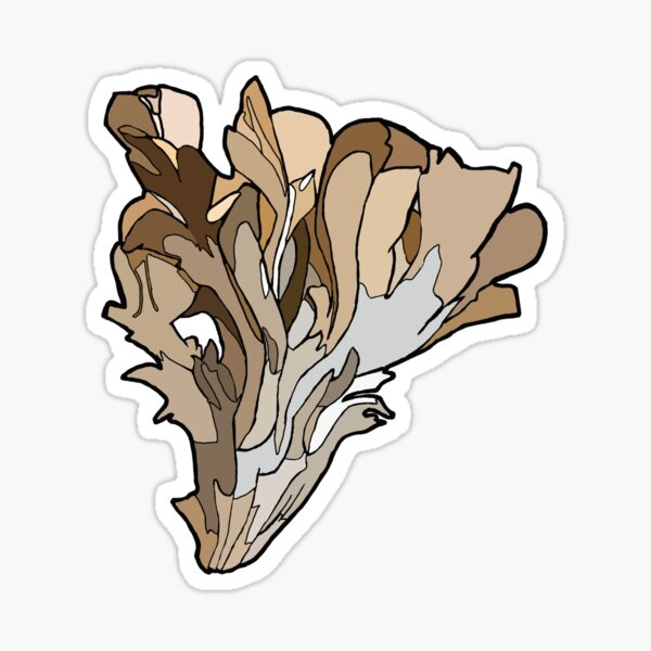 Maitake/Hen of the Woods Mushroom Sticker