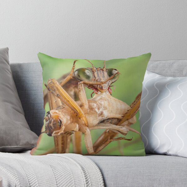 Item preview, Munching Mantis designed and sold by Dan Dexter.