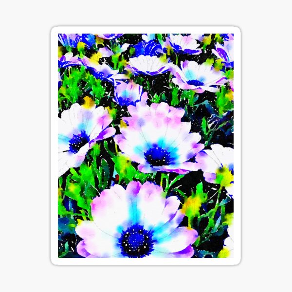 Purple Gerberas Sticker