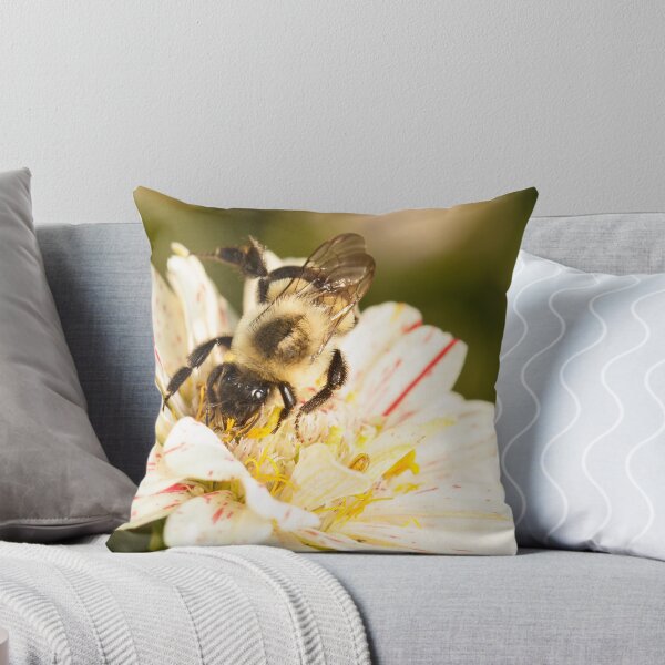 Item preview, Bumble Bee Collecting Pollen designed and sold by Dan Dexter.