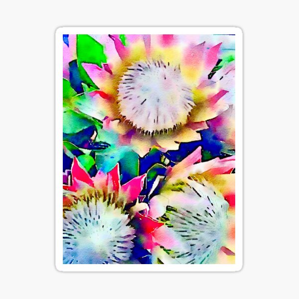 Proteas Sticker