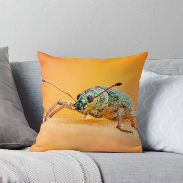Item preview, Green Immigrant Leaf Weevil on Peach designed and sold by Dan Dexter.