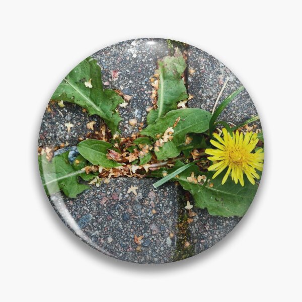 Item preview, Life is stronger than concrete designed and sold by Jouko Lehto Photography.