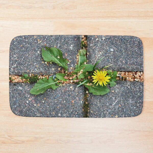 Item preview, Life is stronger than concrete designed and sold by Jouko Lehto Photography.