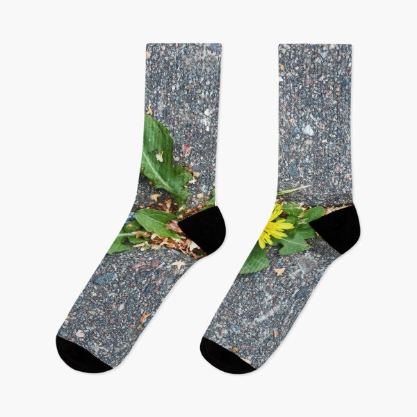 Item preview, Life is stronger than concrete designed and sold by Jouko Lehto Photography.