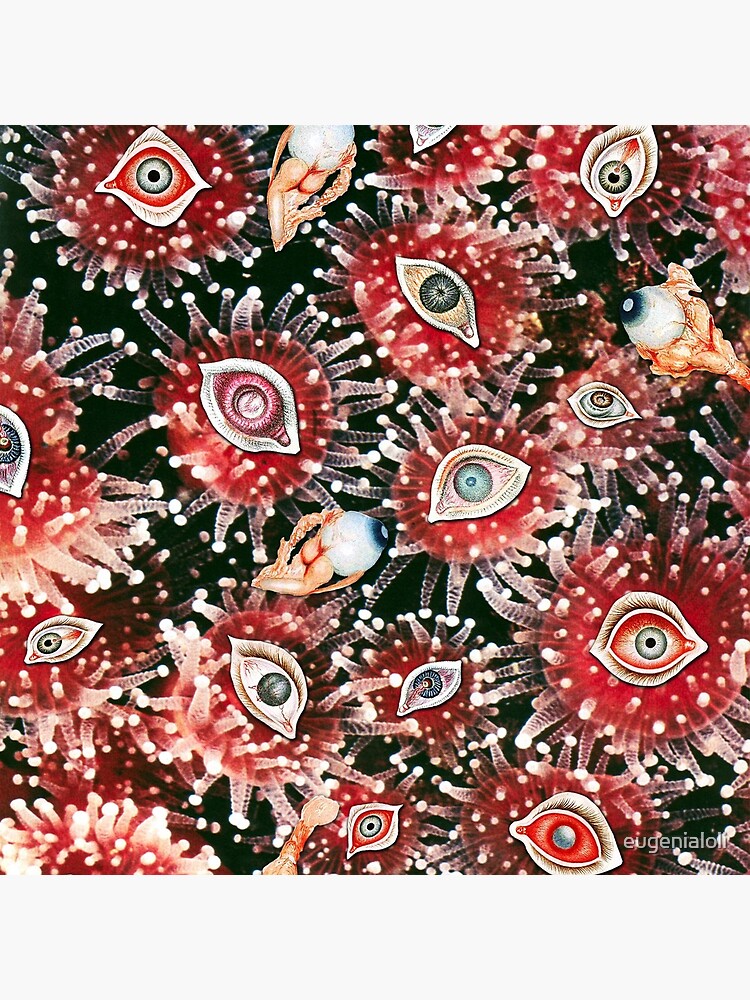 Cataracts by eugenialoli