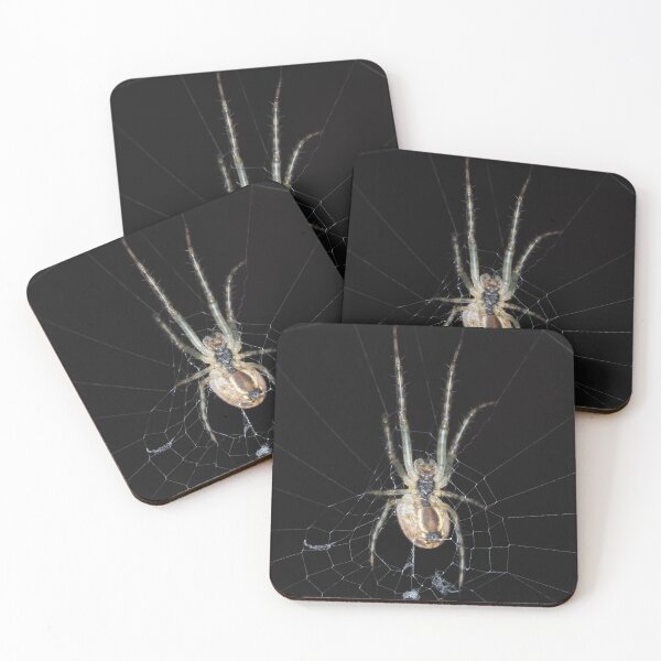 Item preview, Spider identified as Araneus diadematus designed and sold by SDym Photography.