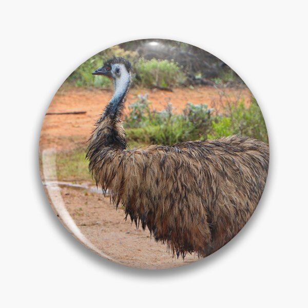 Item preview, Emu and chicks playing in the puddles, Australia designed and sold by FranWest.