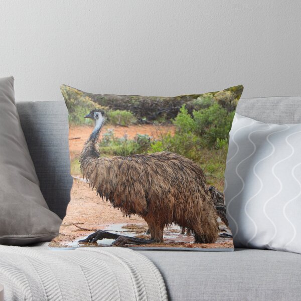 Item preview, Emu and chicks playing in the puddles, Australia designed and sold by FranWest.