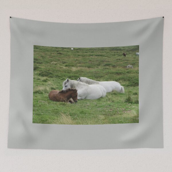 Item preview, Siesta de la tarde - Ponis de Dartmoor designed and sold by lezvee.