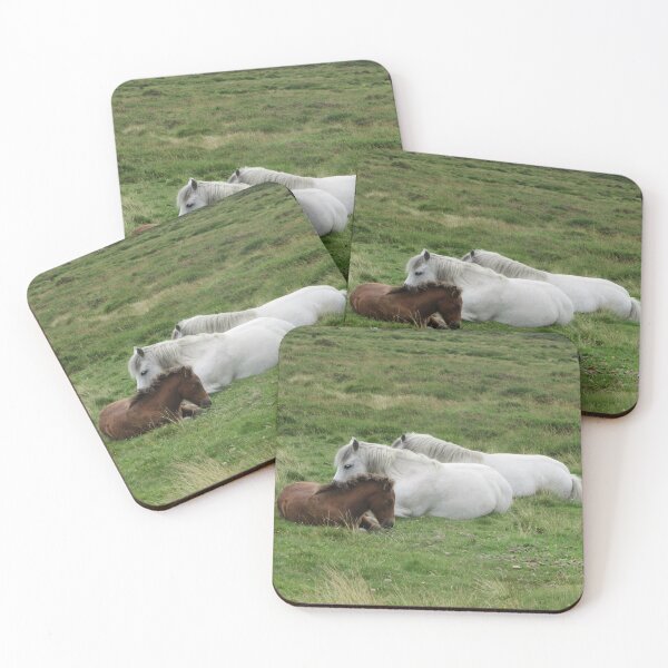 Item preview, Afternoon Siesta - Dartmoor Ponies designed and sold by lezvee.