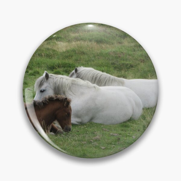 Item preview, Afternoon Siesta - Dartmoor Ponies designed and sold by lezvee.