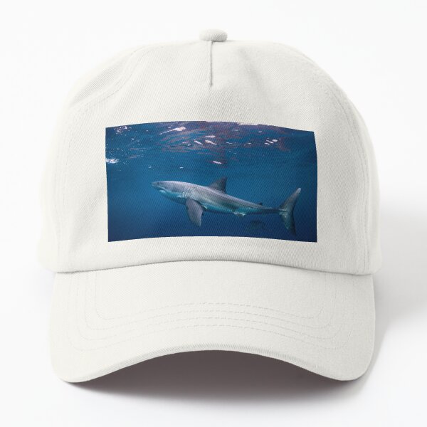 Great White Shark Underwater Dad Hat