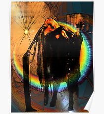 Stevie Nicks Poster