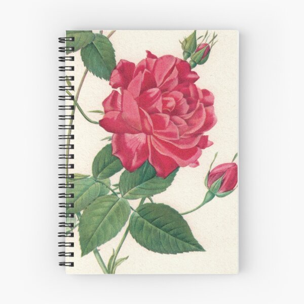 Item preview, Incredible Pale Red Rose designed and sold by Studio66Designs.