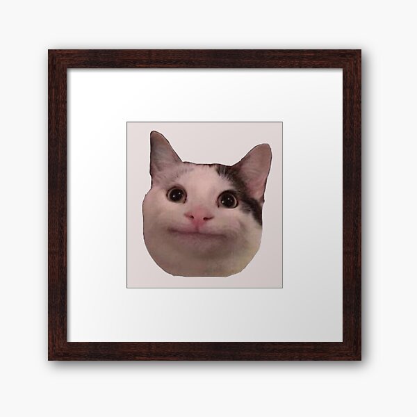 Smiling Cat Beluga - Cat Beluga Art Board Print for Sale by Kakoll