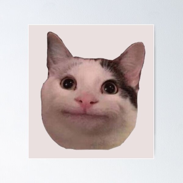 angry cat face meme｜TikTok Search